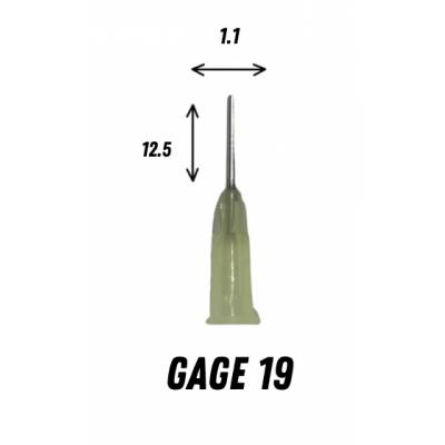 GAGE 19
